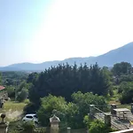 Bio