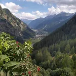 Bio *